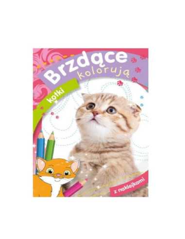 KOLOROWANKA Z NAKLEJKAMI Brzdące kolorują kotki""